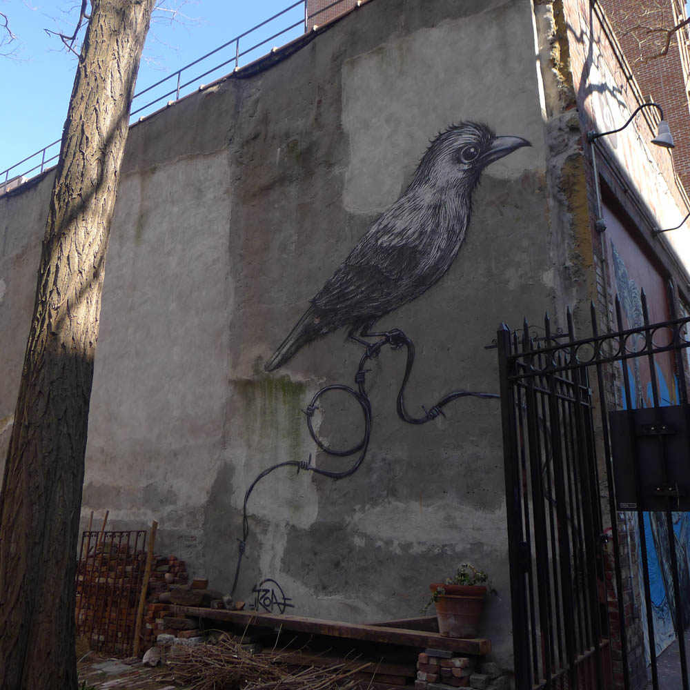 Piece by ROA on 2nd Street